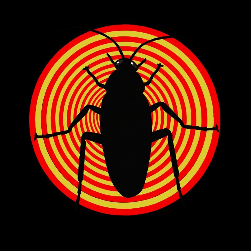 Insect insects cockroach vermin vermin disgust