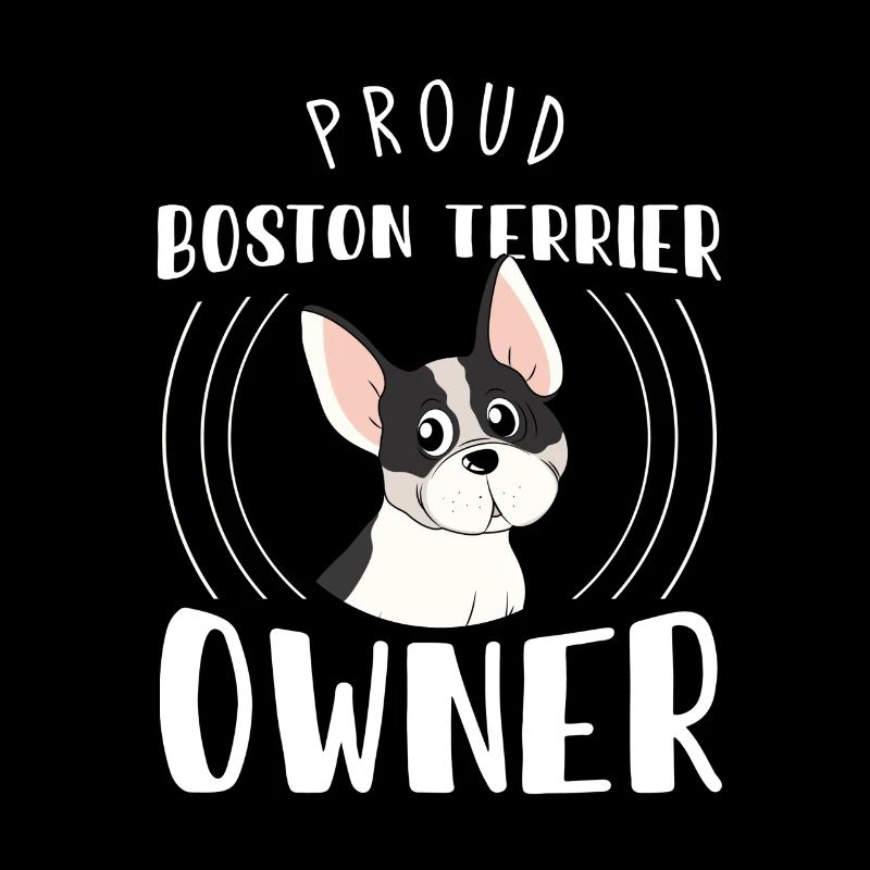 Boston Terrier, Boston Terrier Boston Terriers
