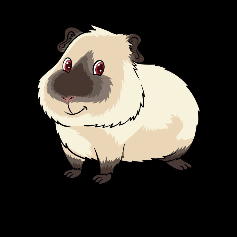 Cute Himalayan guinea pig owner and