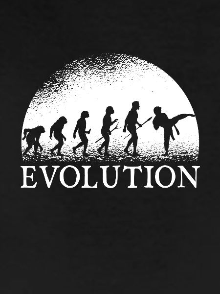 Karate evolution