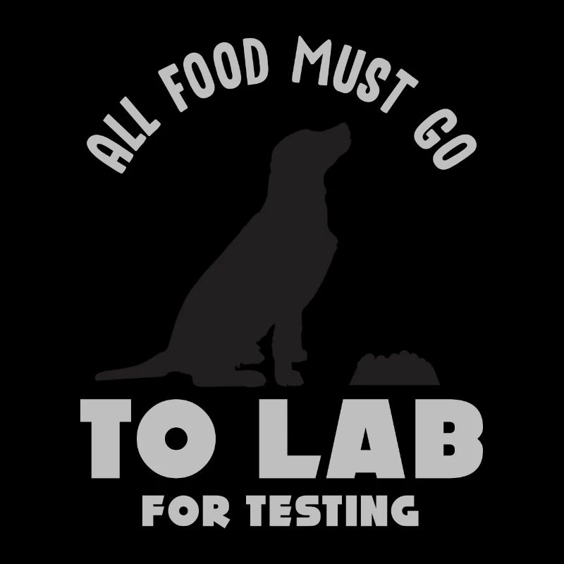 Labrador, Labrador Hunderasse, Agility,