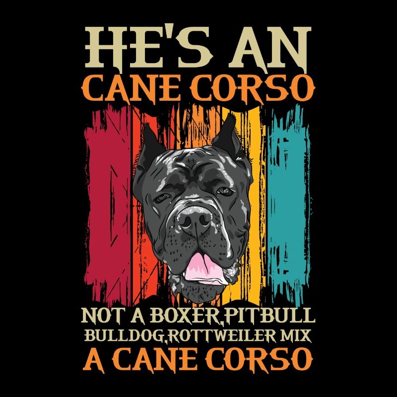Cane Corso pour cane Corso propriétaire Cane