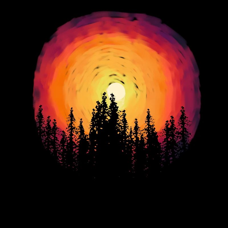 Forest Nature Flora Botanical Sunset Trees