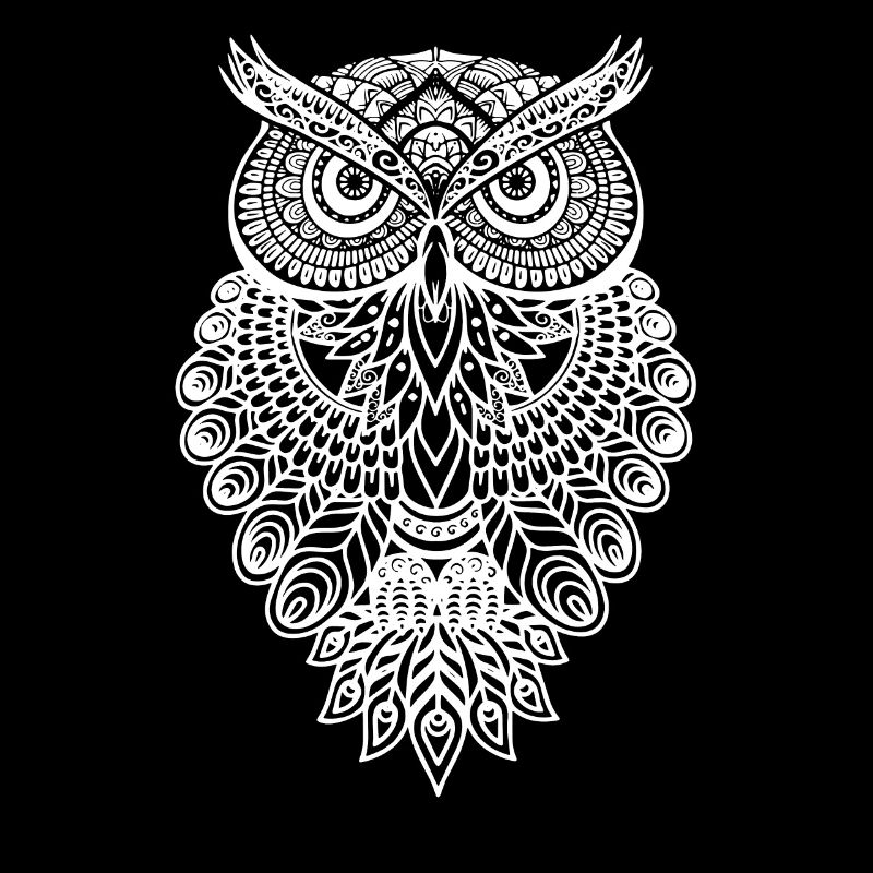 Eule Owl Grafik Graphic Kunst Geschenk Mandala