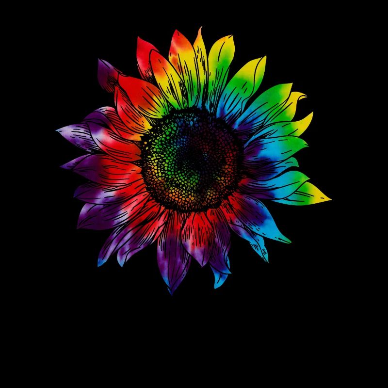 Sonnenblume Regenbogen