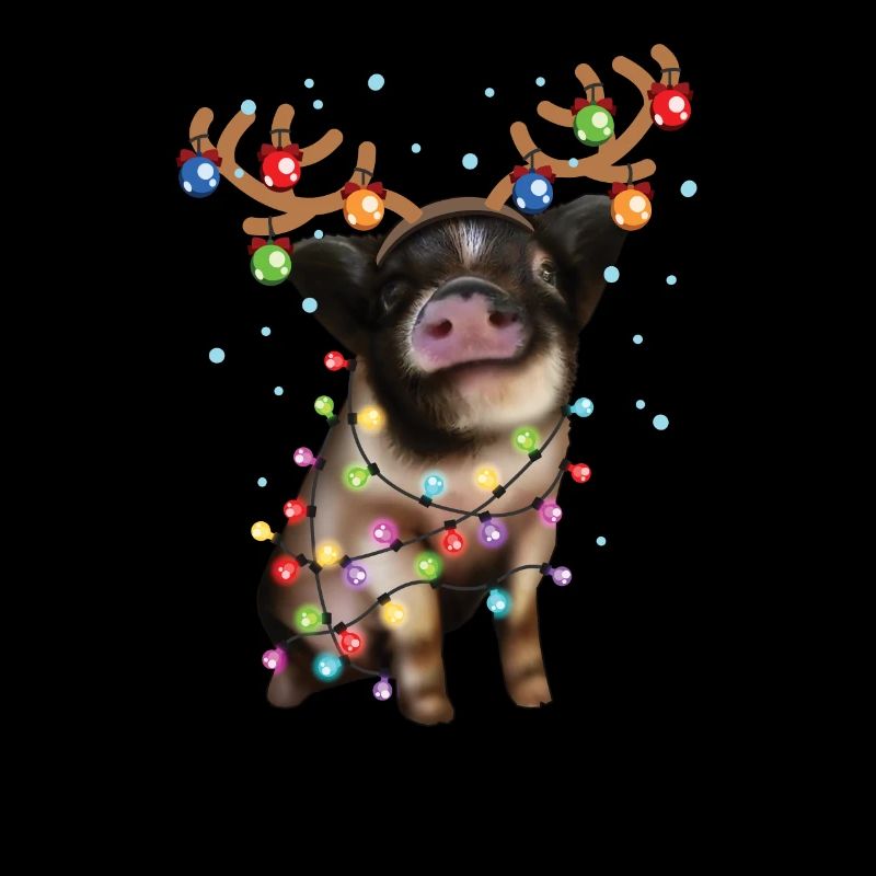 Cochon de Noël - Cochon de Noël mignon