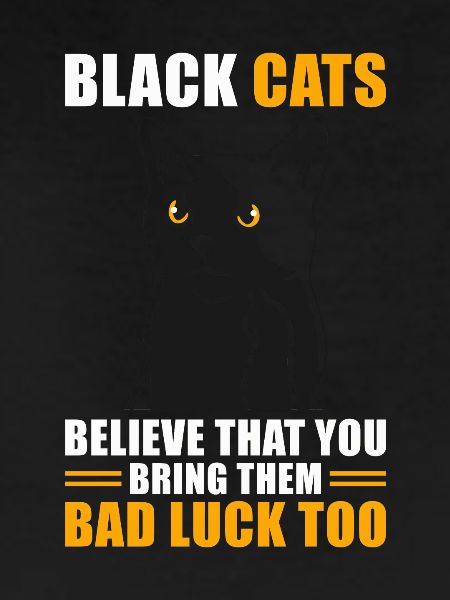 Superstition Black Cat