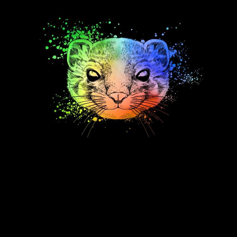 Tête colorée du furet