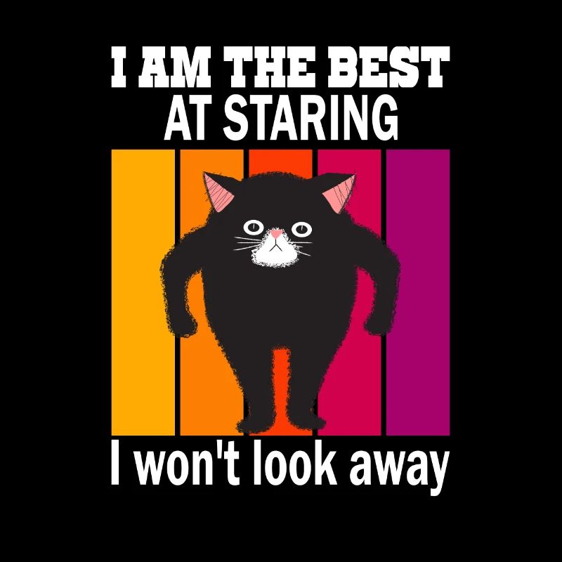 Chat qui regarde - Chats qui regardent