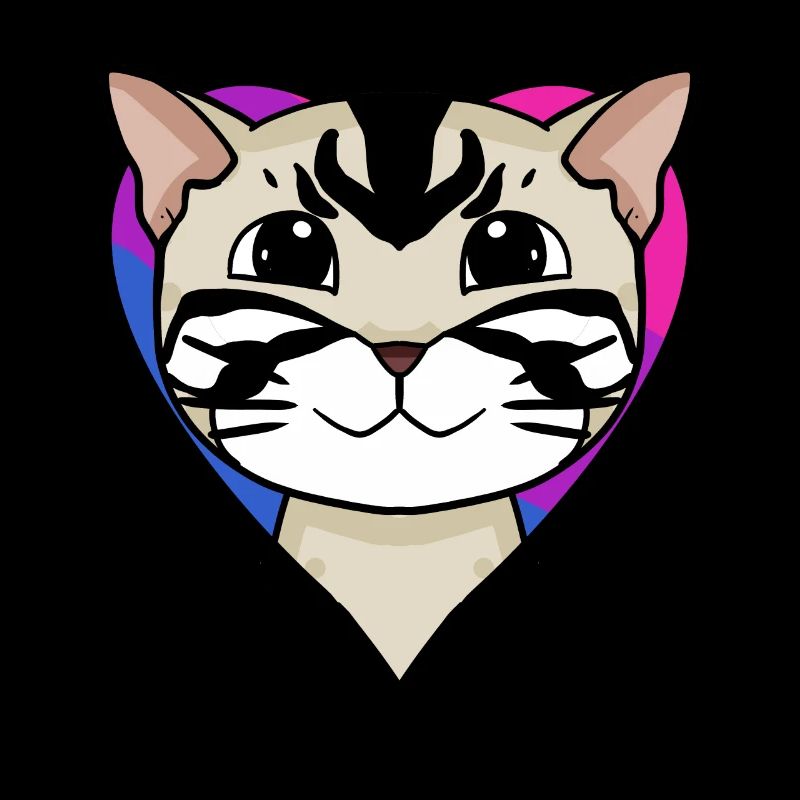 Bisexual American Shorthair Cat Gift