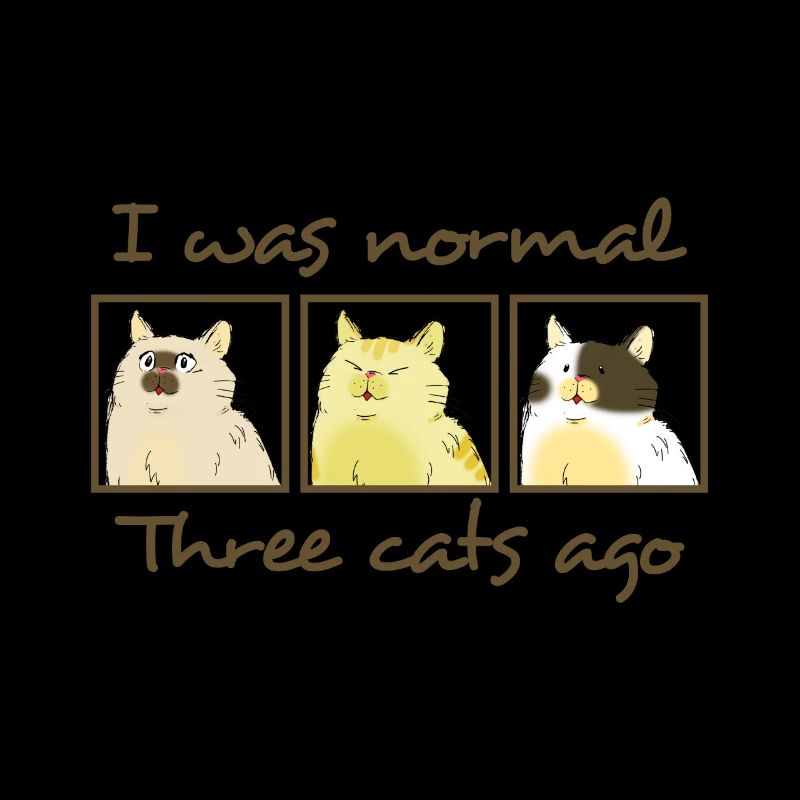 Vor 3 Katzen war ich noch normal lustiger Spruch