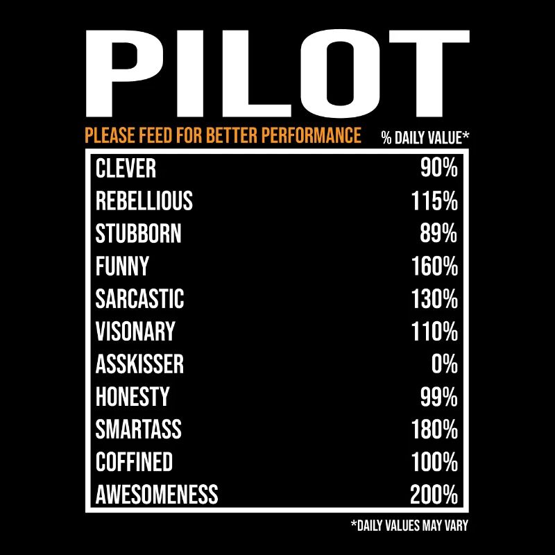 Pilot tageswerte Lustiger Pilot