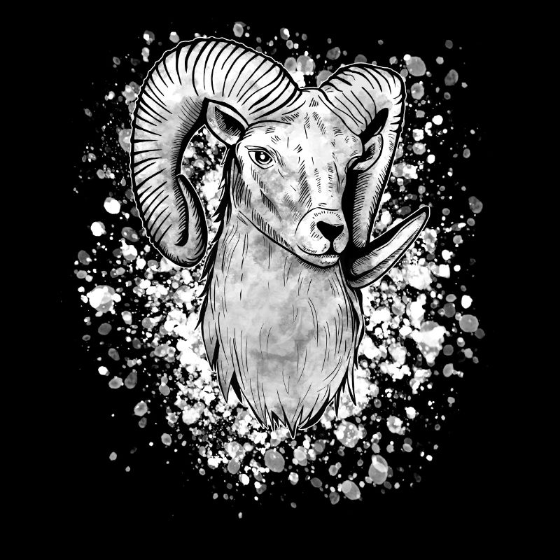 Widder Geschenk Geburtstag