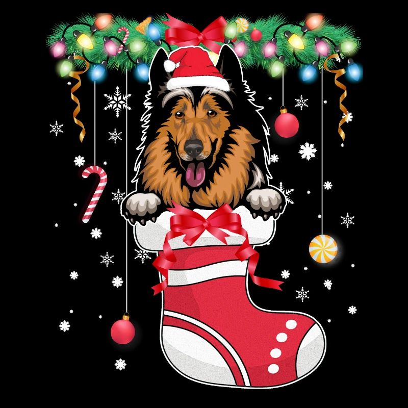 Drôle de Noël - Mignon chien collie en bas de Noël