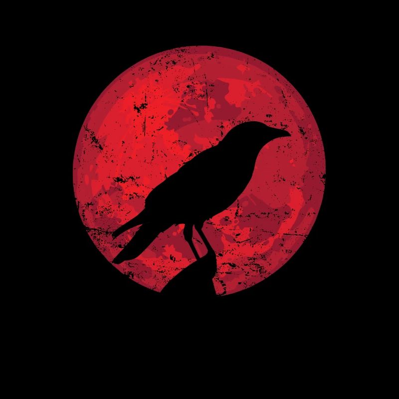 Corbeau devant la lune Crow Bird Environment