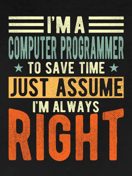 Computer programmer