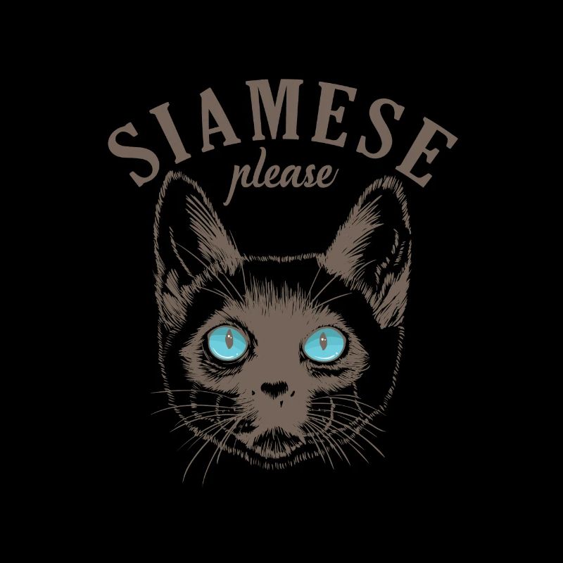 Chat siamois s’il vous plaît Race de chat de compagnie