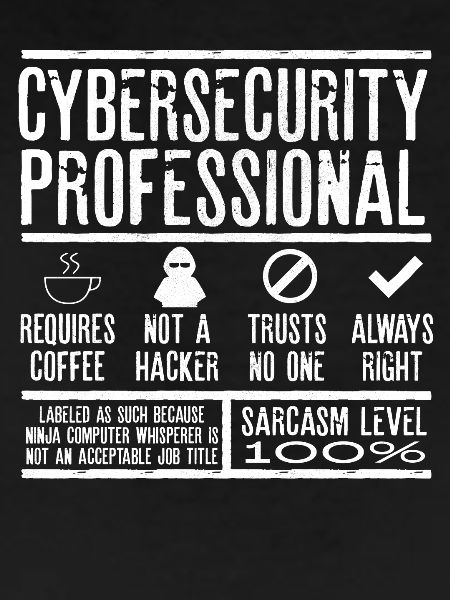 Cybersecurity Expert