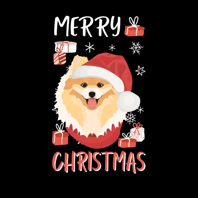 Zwergspitz Joyeux Noël
