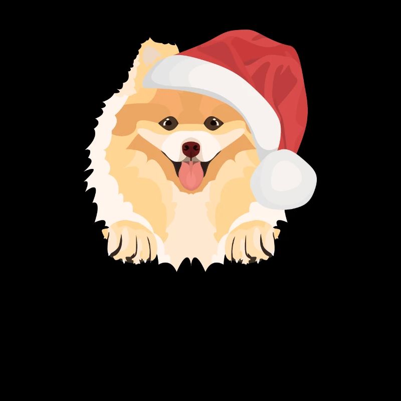 Zwergspitz Joyeux Noël