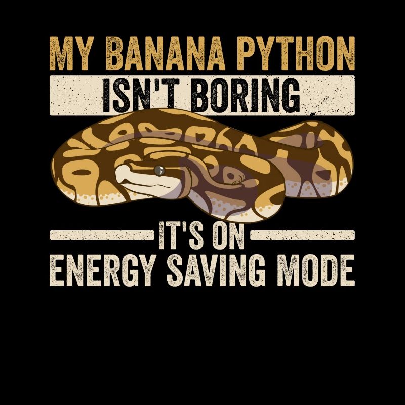 Königspython für banane königspython besitzer