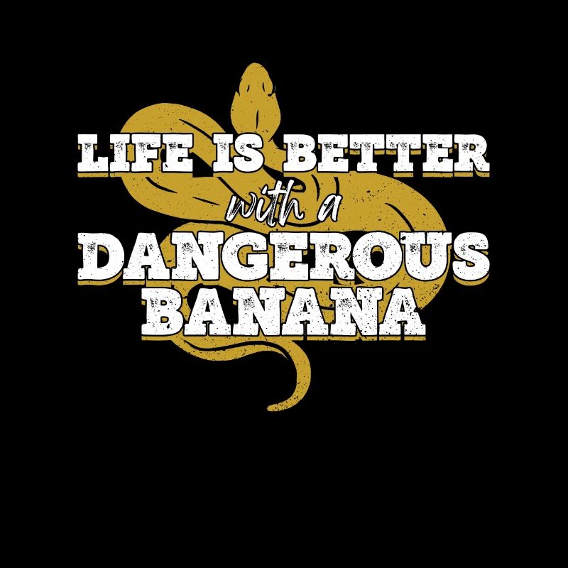 Banana Ball Python Königspython