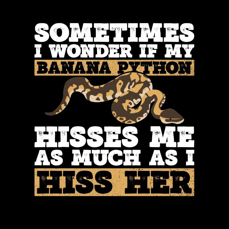 Banana Ball Python Königsphython