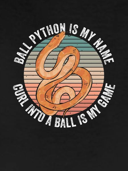 Königspython Bananenkugel Python