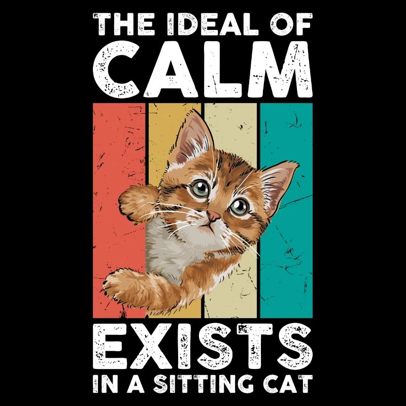 Das Ideal Der Ruhe Existiert In Einer Katze