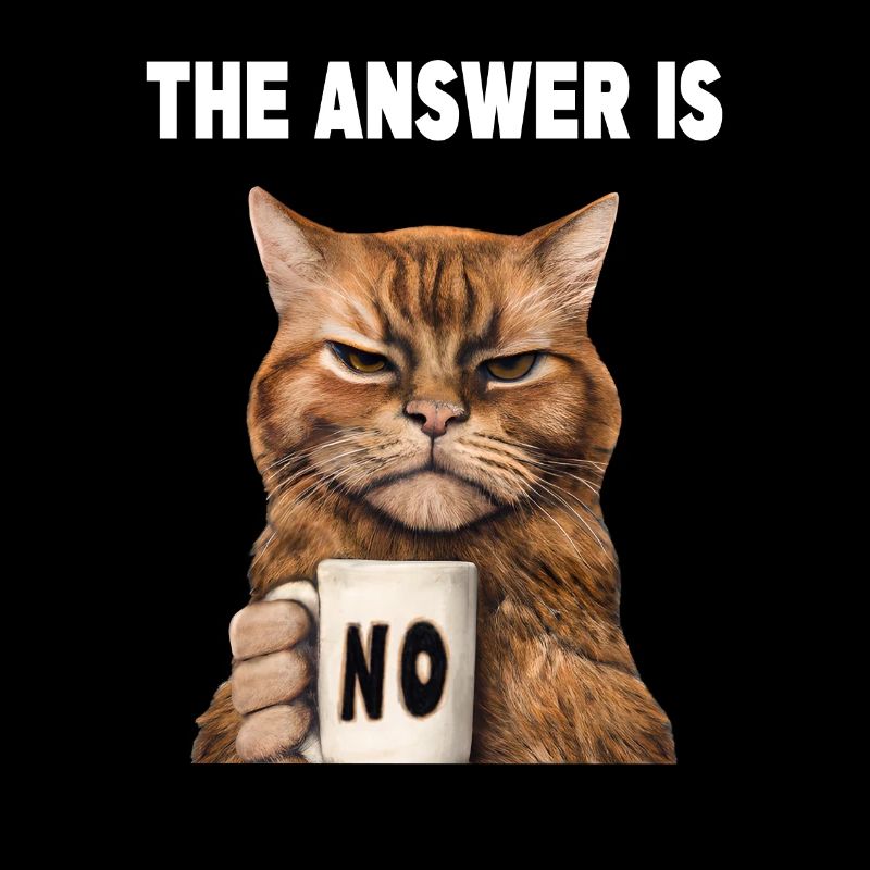 The answer is no. Grumpy Funny Cat