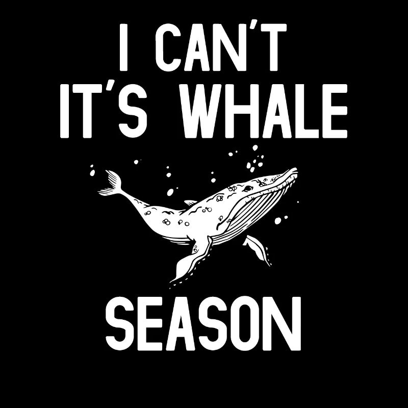 Baleines, baleines, observation des baleines, observation des baleines