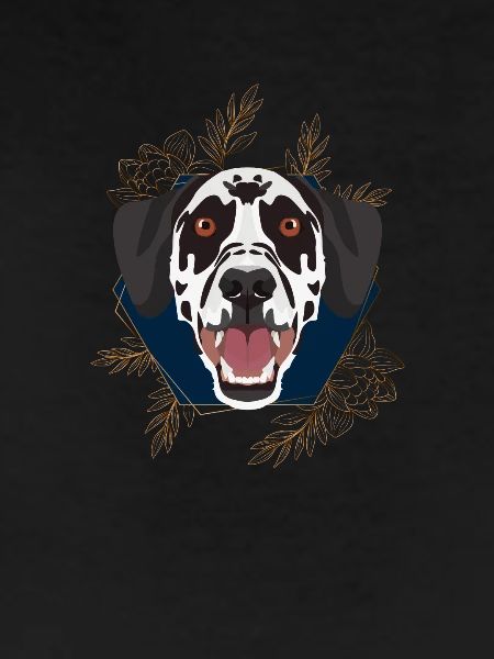 Golden Dog Dalmatian
