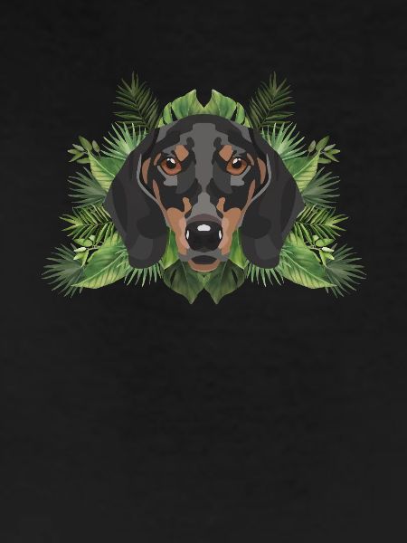 Tropical Dachshund