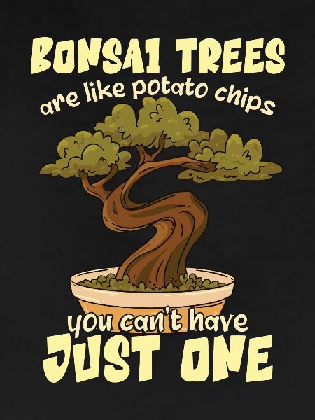 Funny Bonsai Tree