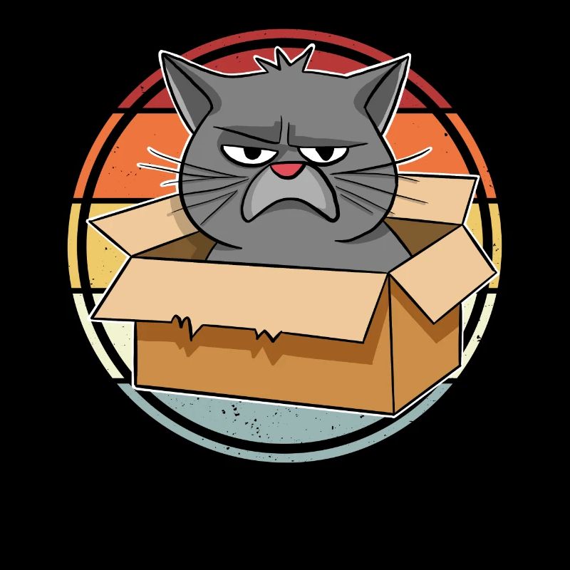 Cat in a box