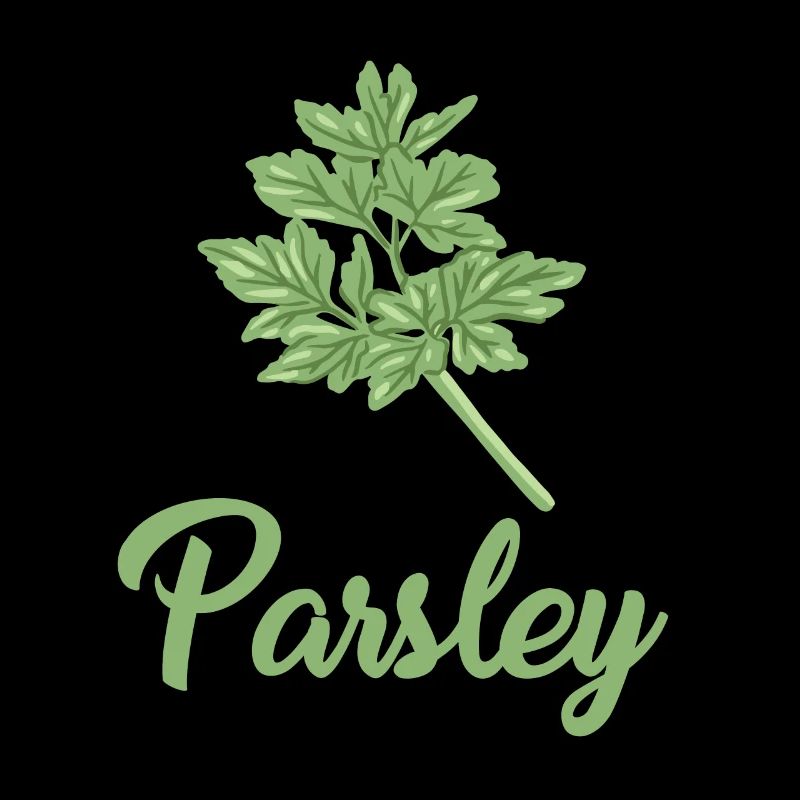 Grande conception de persil