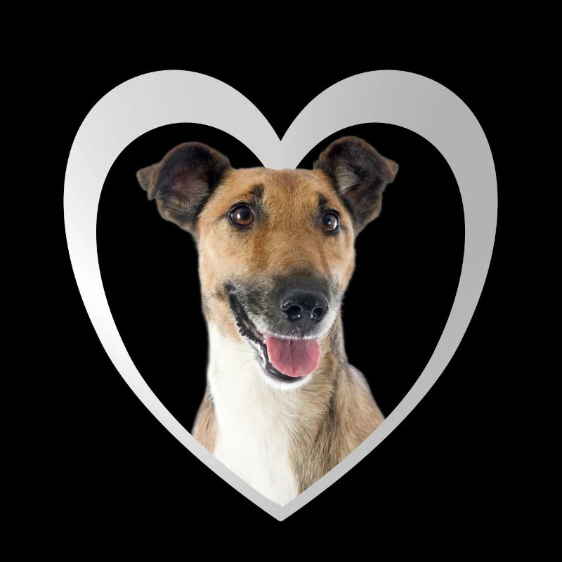 Fox Terrier Heart - J’adore le Fox Terrier