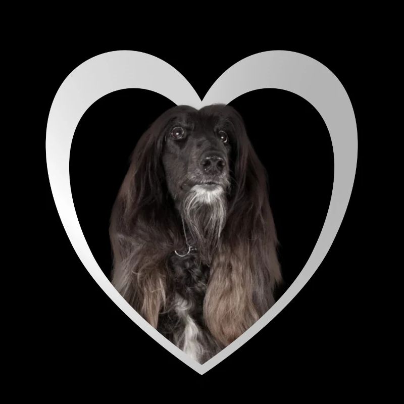 Afghanischer Windhund Herz - I Love Windhunde