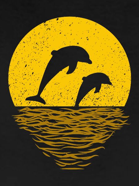 DOLPHINS PLAY