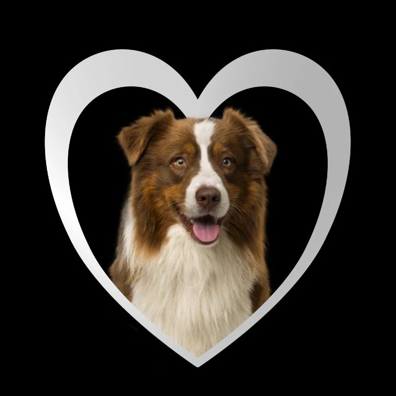 Border Collie Heart - J’aime Border Collie