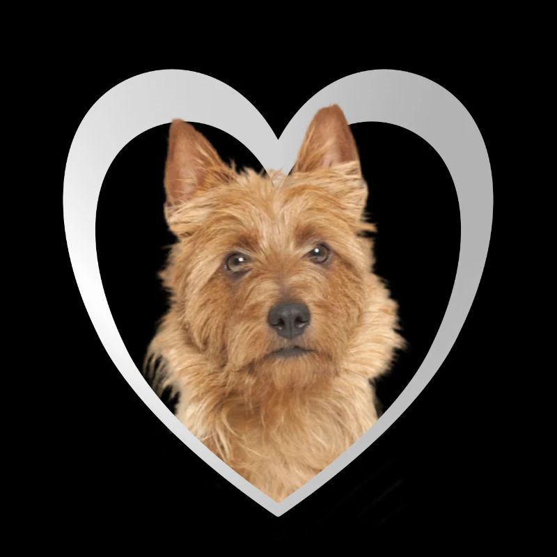 Australian Terrier Herz - Love Australian Terrier