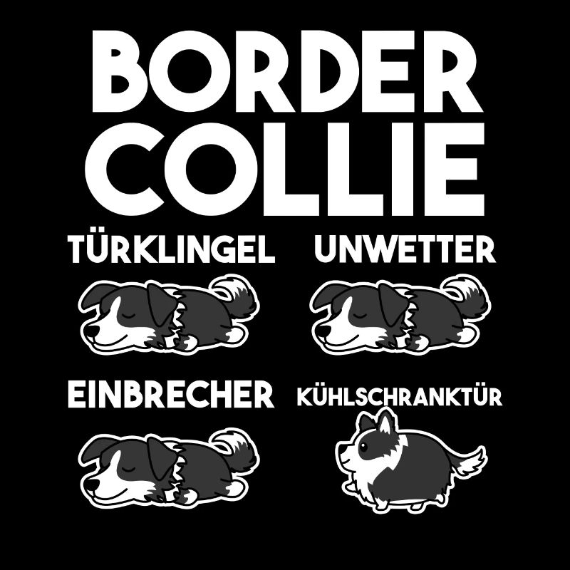 Hund Border Collie