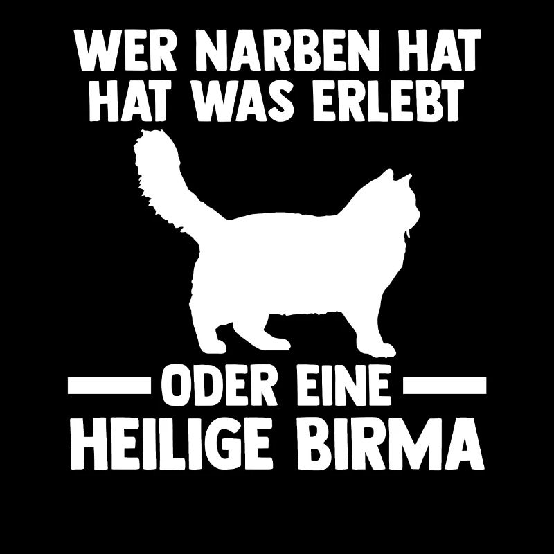 Heilige Birma Katze