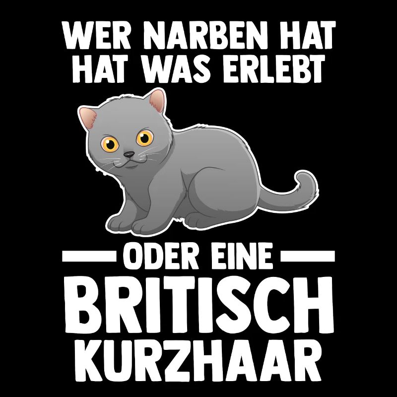 Britisch Kurzhaar Katze