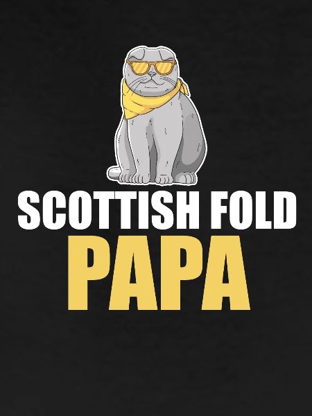 Scottish Fold Cat