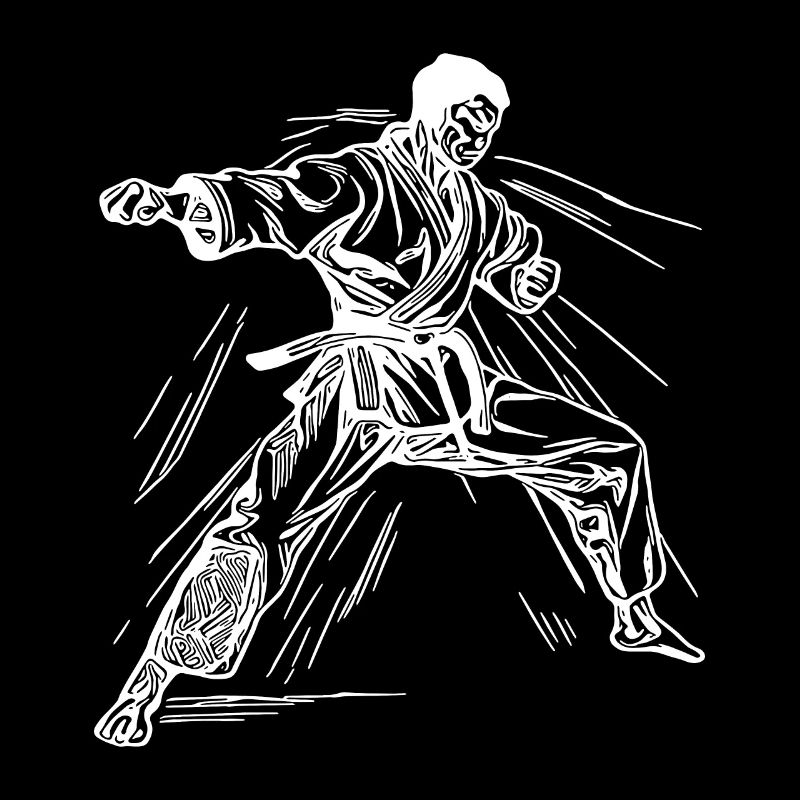 Karate Turnier Kampfgeist Meisterschaft Sieg