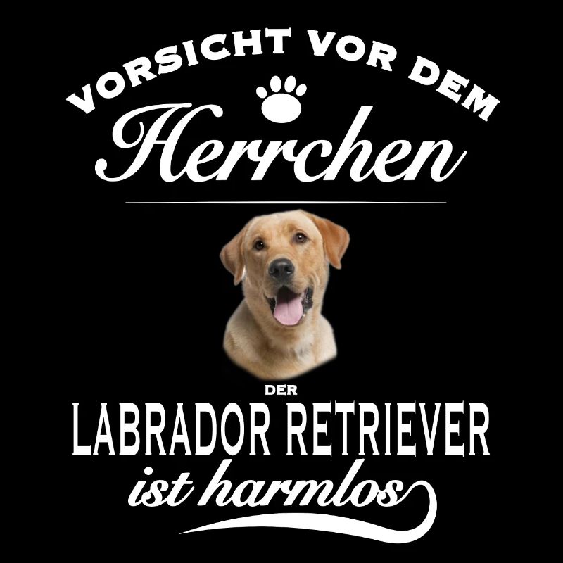 Vorsicht vor dem Herrchen - Labrador Retriever