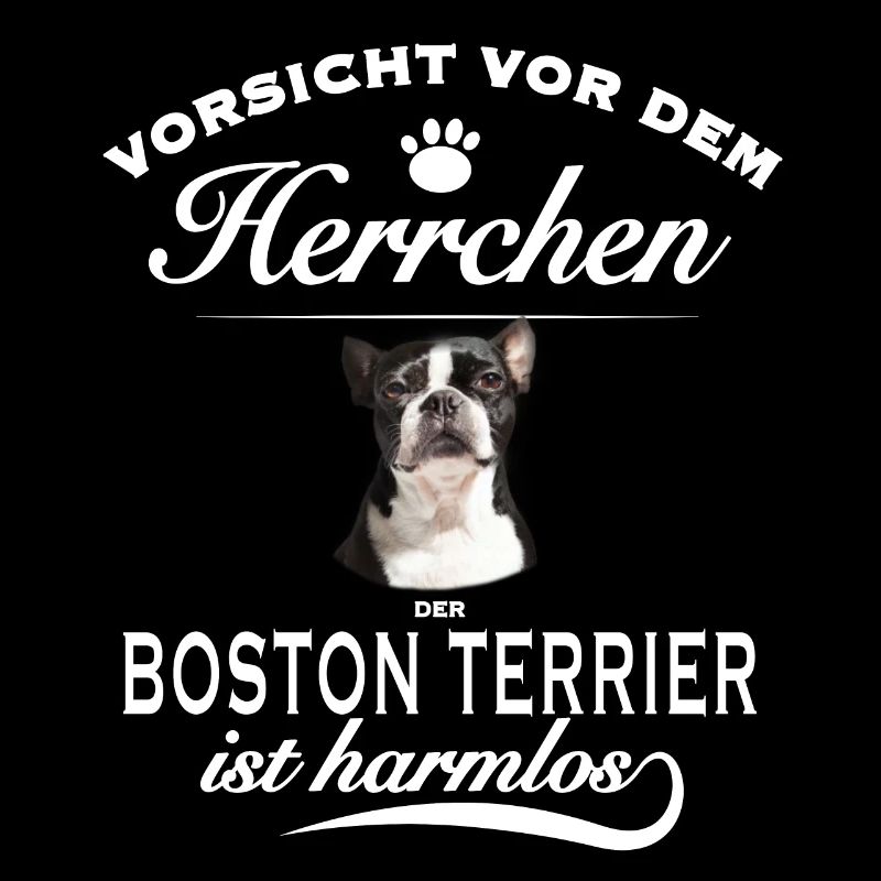Vorsicht vor dem Herrchen - Boston Terrier