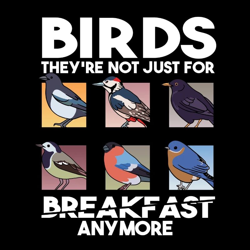 Drôle d’observation d’oiseaux