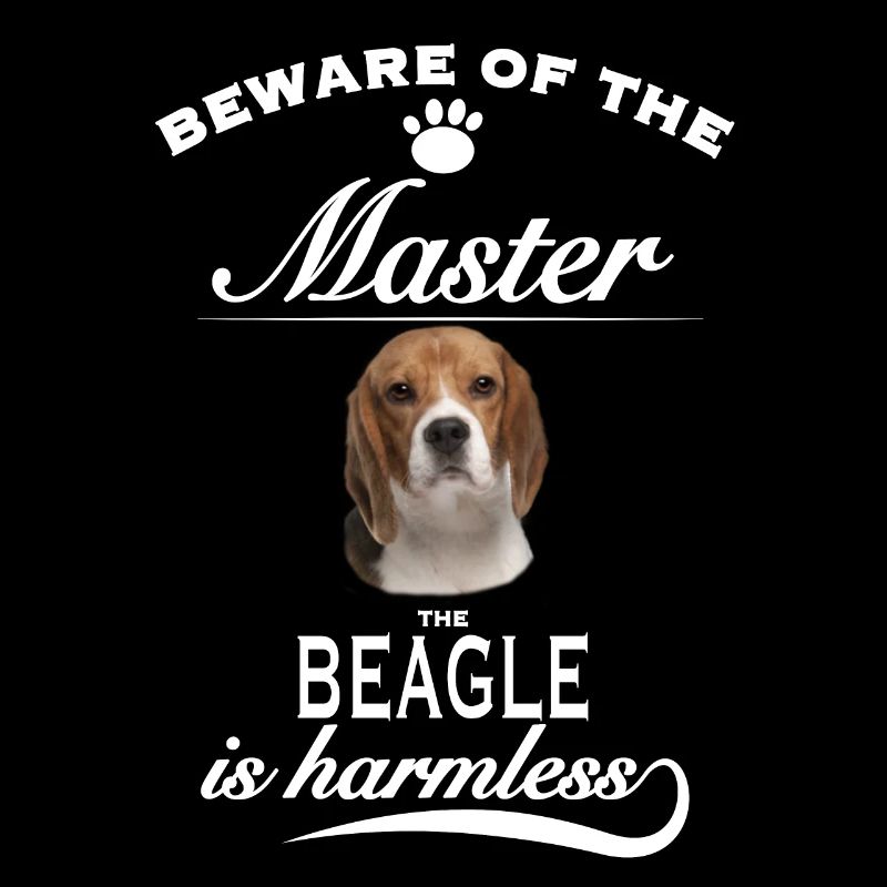 Méfiez-vous du maître et inoffensif Beagle